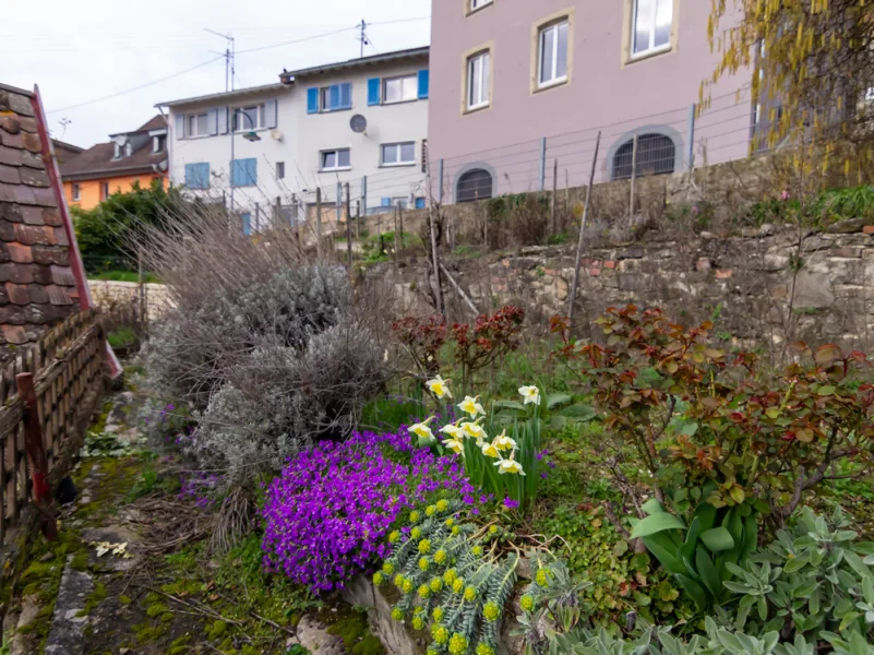 Grüner Garten...