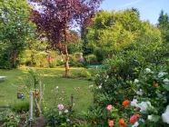 Garten im Sommer