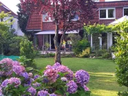 Garten im Sommer