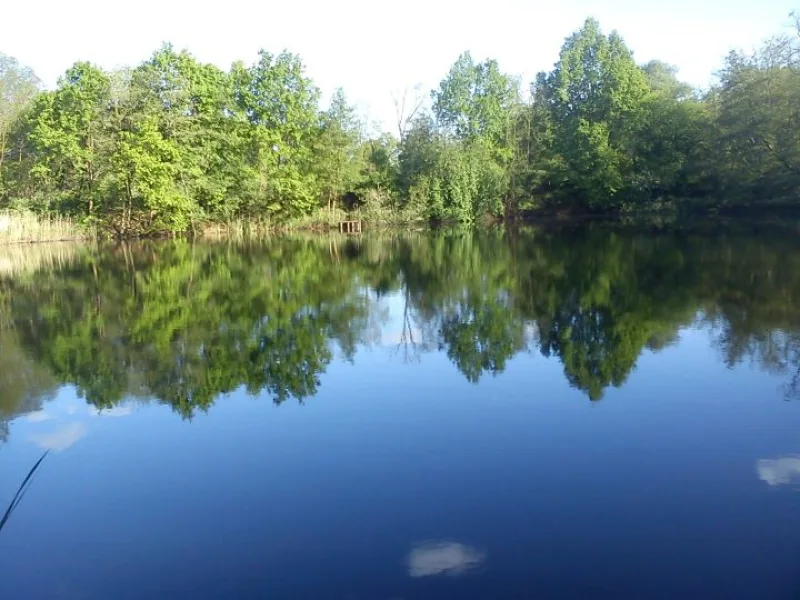 Ansicht - Grundstück kaufen in Brück - Ihr eigenes Fisch-Teichgrundstück mit 12.766 m²