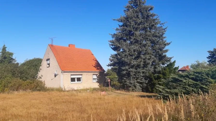 Hausansicht - Haus kaufen in Brück - Haus mit Nebengelass und großem Garten