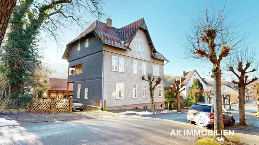 Frontansicht - Haus kaufen in Eschershausen - Historisches Mehrfamilienhaus in Eschershausen – Charme trifft auf Potenzial