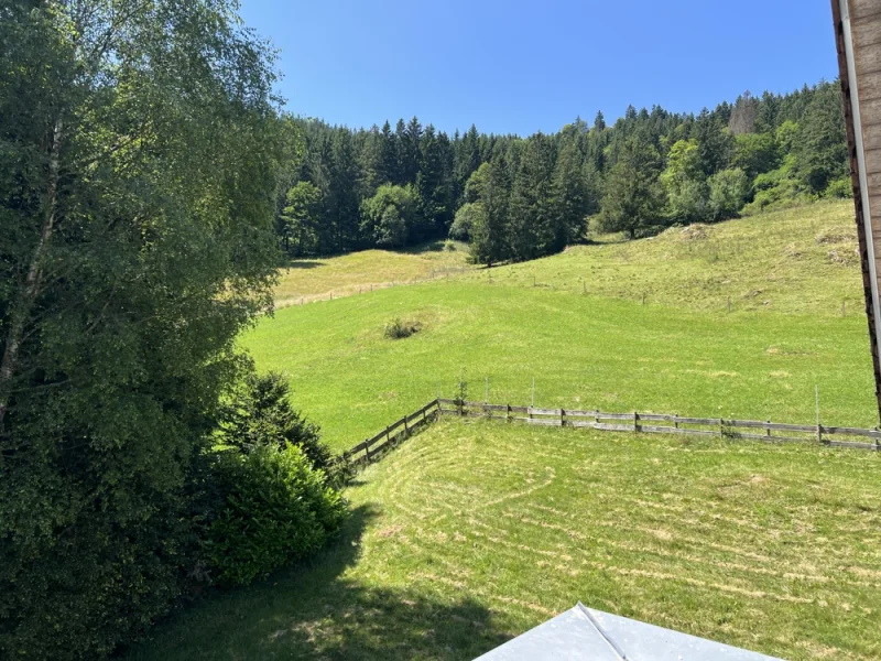 Blick vom Balkon OG nach Südwest