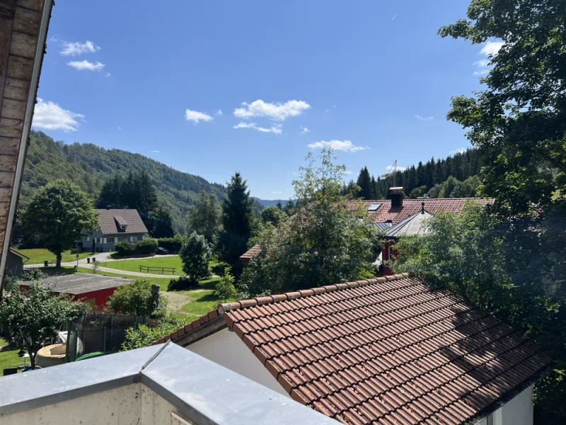 Blick vom Balkon OG nach Südost