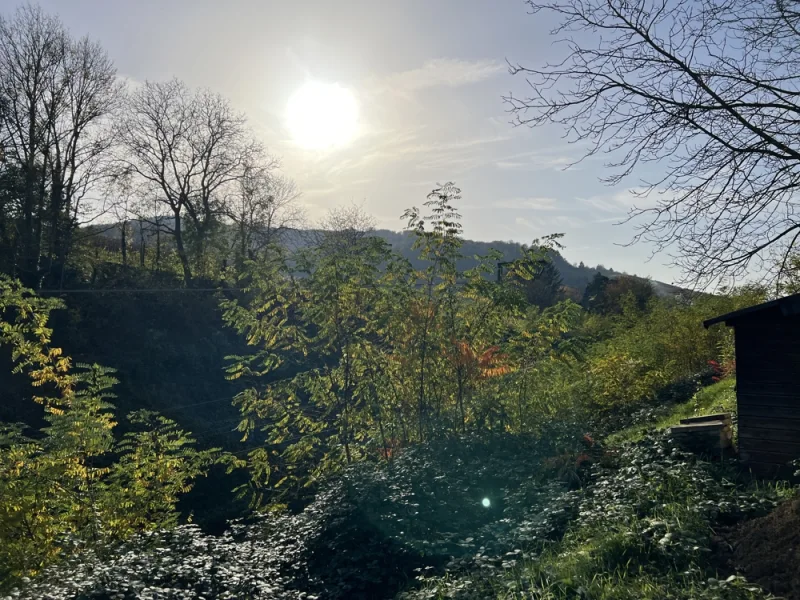 Blick vom Garten Richtung Schönberg - Grundstück kaufen in Freiburg im Breisgau / Sankt Georgen - Bauplatz mit Baugenehmigung für Zweifamilienhaus mit 180qm Wohnfläche