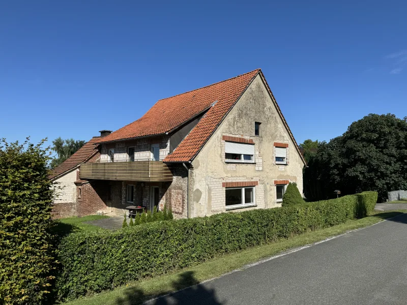 Staßenansicht - Haus kaufen in Lage - 1-2 Familienhaus in Feldrandlage