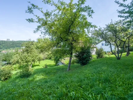  - Grundstück kaufen in Tübingen - Villengrundstück in top Aussichtslage