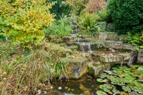 Wasserlauf im Garten