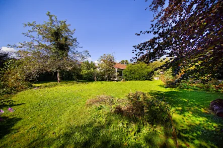 Garten - Grundstück kaufen in Baierbrunn / Buchenhain - Traumhaftes Grundstück mit Altbestand in Baierbrunn (Teilung möglich)