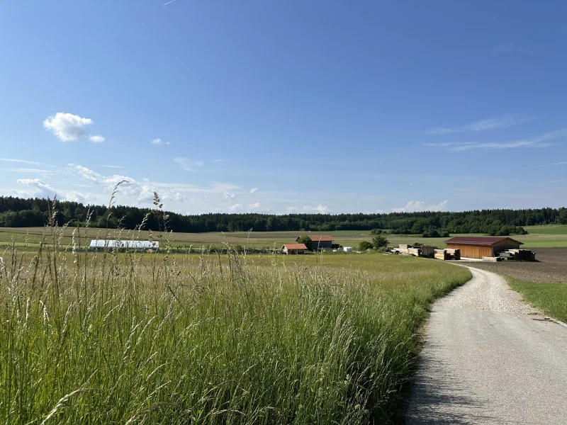 Naheliegende Landschaft