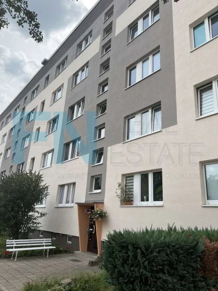 Ansicht - Wohnung mieten in Bad Düben - +++Geräumige frisch sanierte 2Raumwohnung mit Blick über Bad Düben+++