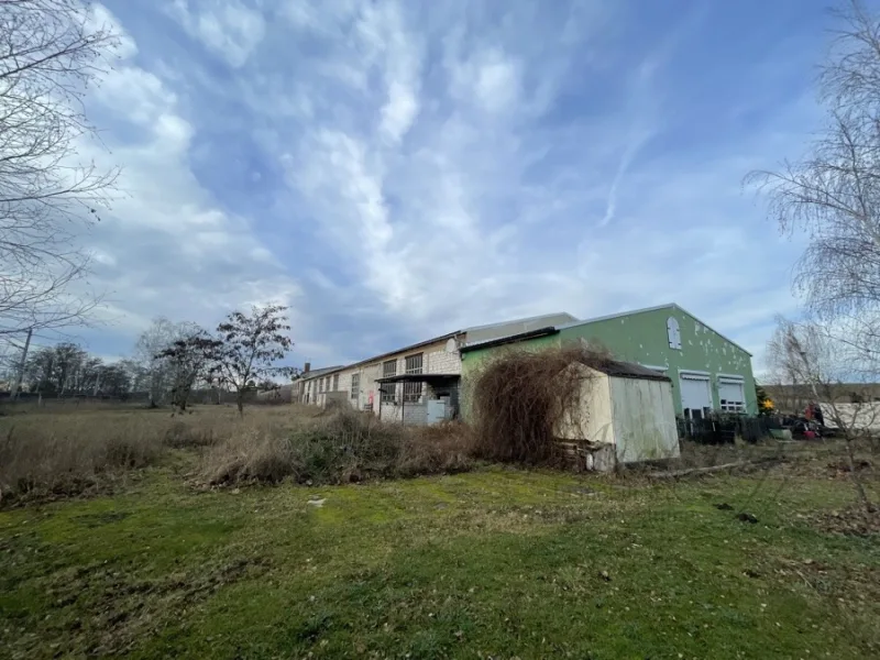 Endreihenhaus mit 80 m² Wohnfläche und Terrasse