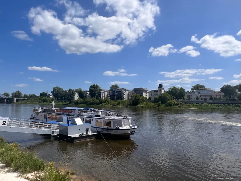 Magdeburger Weiße Flotte