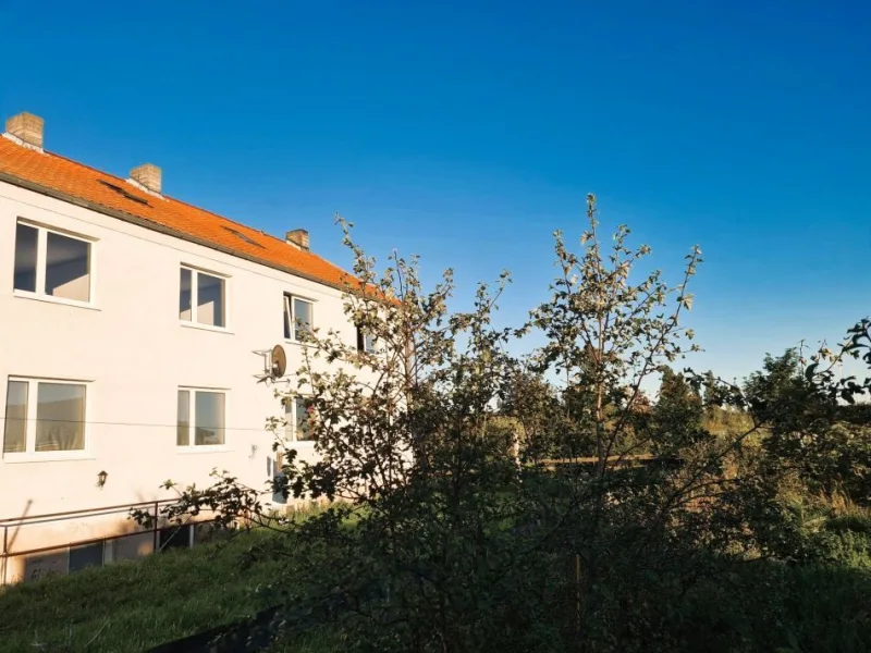 Ansicht Gartenseite - Haus kaufen in Seegebiet Mansfelder Land - Mehrfamilienhaus in Wansleben