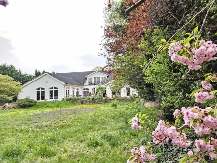 Ansicht - Haus kaufen in Bernburg - großzügiges Einfamilienhaus in Baalberge