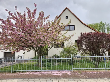 Ansicht - Haus kaufen in Halle - Einfamilienhaus in Halle/ S. Gartenstadt Nietleben