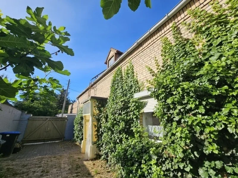 Innenhof - Haus kaufen in Seegebiet Mansfelder Land - Einfamilienhaus in Stedten 