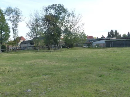Ansicht 2  - Grundstück kaufen in Zschernitz - Schönes Baugrundstück bei Delitzsch zu verkaufen