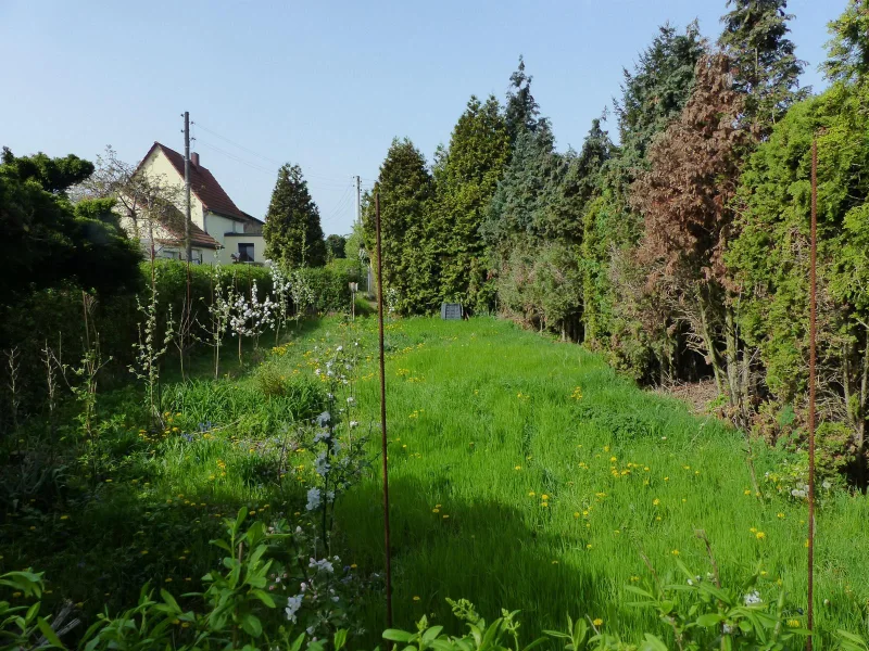 Ansicht Grundstück  - Grundstück kaufen in Riesa - Grundstück in Riesa zu verkaufen - Gemarkung Gröba