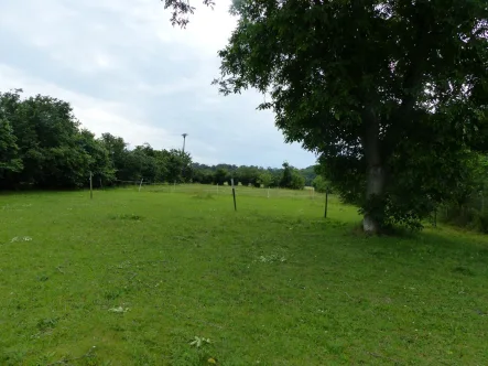 Ansicht Grundstück  - Haus kaufen in Belgern-Schildau OT Seydewitz - Selbstversorgerhof bei Belgern mit Scheune, Nebengelass und Garten wartet auf kreative Gestalter!