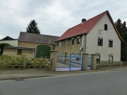 Grundstücksansicht  - Haus kaufen in Belgern-Schildau OT Seydewitz - Selbstversorgerhof bei Belgern mit Scheune, Nebengelass und Garten wartet auf kreative Gestalter!