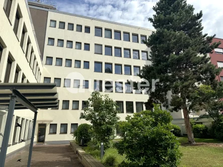 Rückansicht - Büro/Praxis mieten in Duisburg - Der Sonnenhof: Zentral & Modern & Nachhaltig  Duisburg-Neudorf