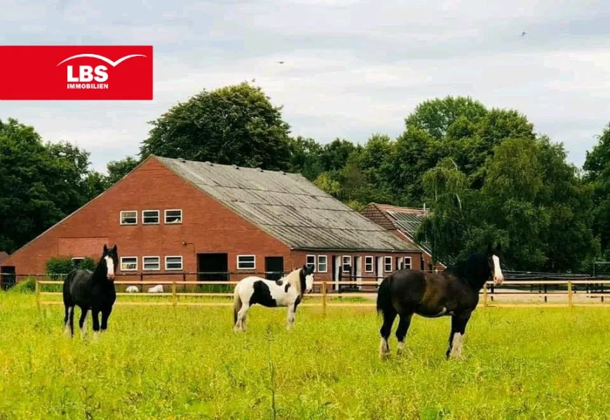 unsere Pferde - Haus kaufen in Rhauderfehn - Pferdehof mit 2 ha Weidefläche am Objekt