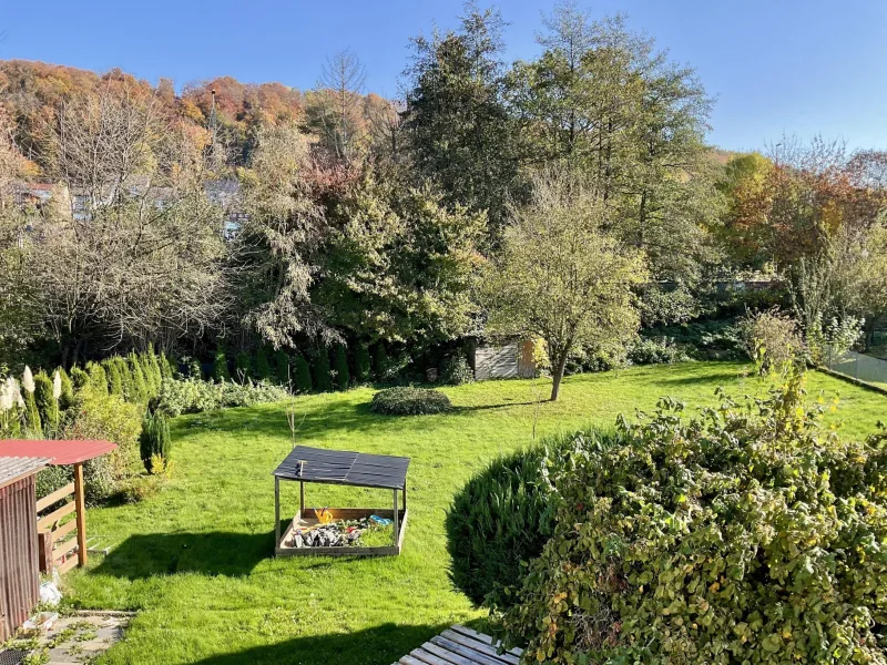 Blick in den Garten