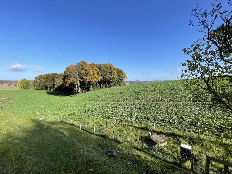 Blick vom Garten in die Natur