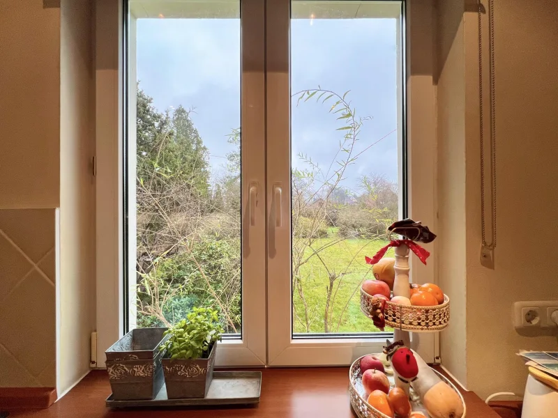 Ausblick in den Garten