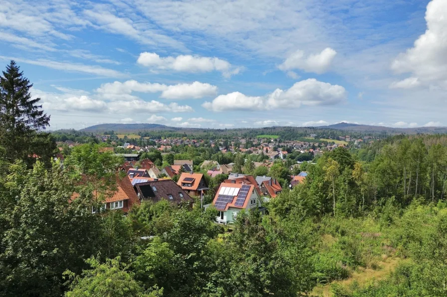 Blick Richtung Braunlage