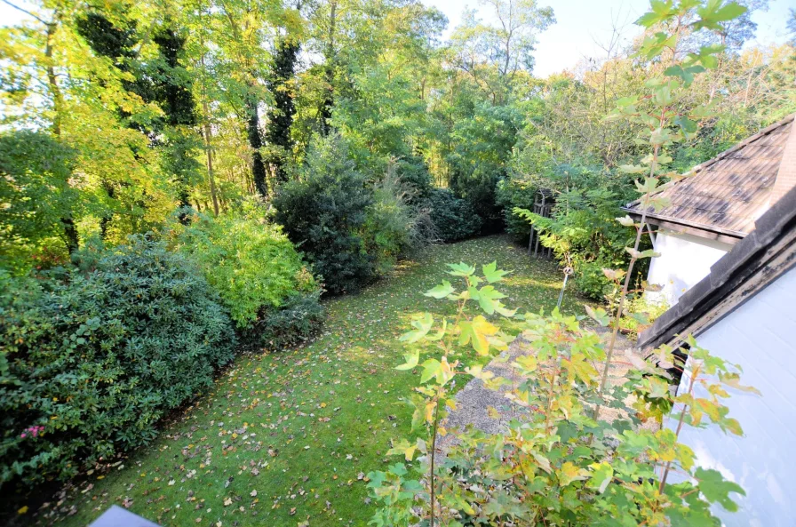 Blick in den Garten