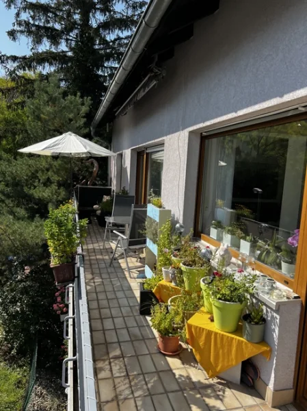 Sonnenbalkon  - Wohnung kaufen in Karlsruhe / Hagsfeld - Haus im Haus - hell und geräumig !