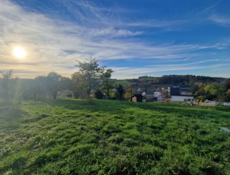 idyllischer Bauplatz - Grundstück kaufen in Neckarbischofsheim - Neckarbischofhsheim Feldrandlage!