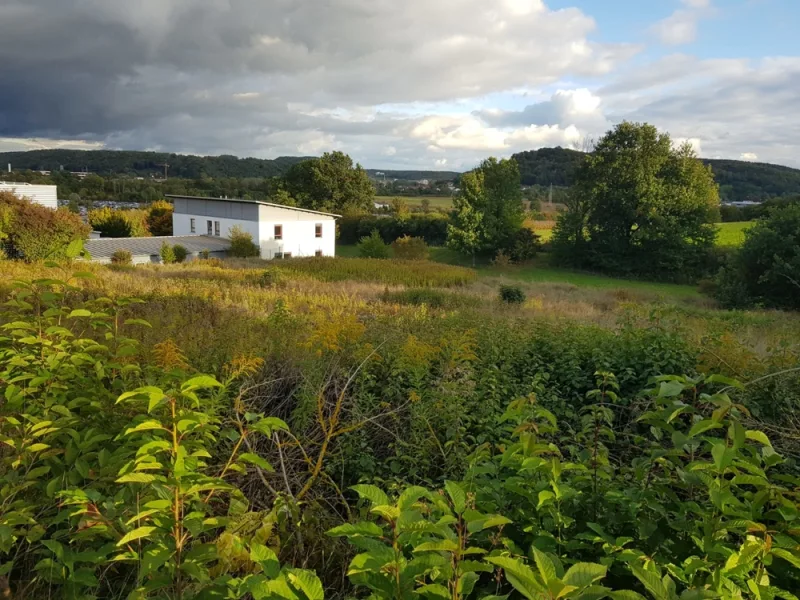 Gewerbegrund - Grundstück mieten in Kelheim - Freifläche als Lagerplatz