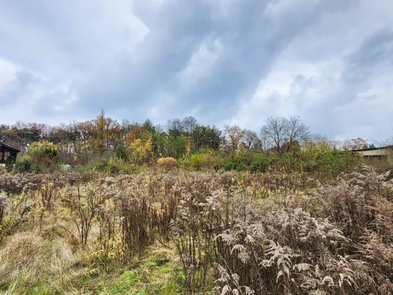 Großer Bauplatz - Grundstück kaufen in Teublitz - Naturnahes, voll erschlossenes Baugrundstück