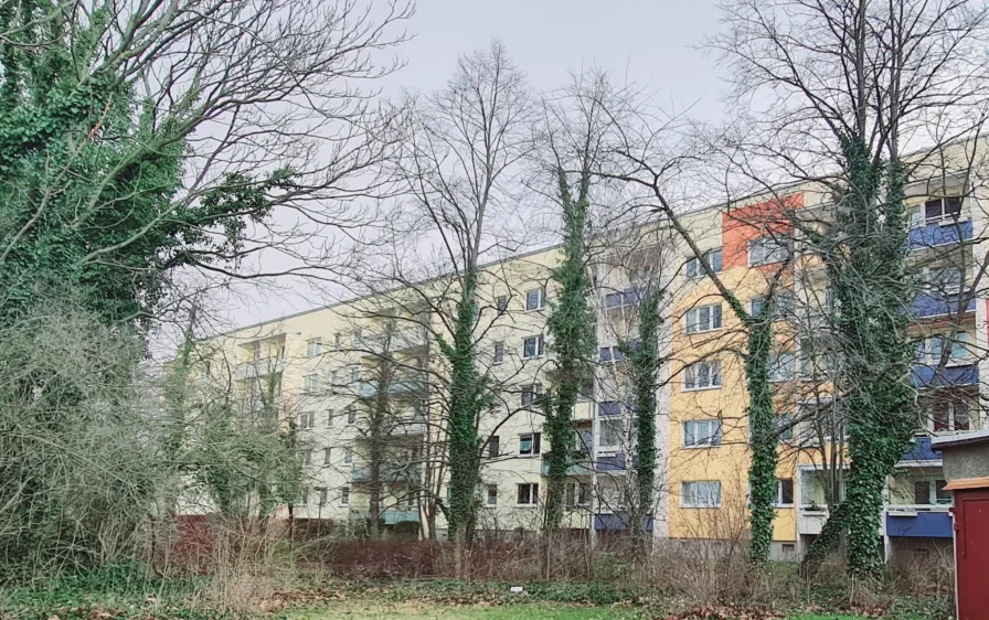 Hausansicht Balkonseite - Wohnung mieten in Halle - Blick auf die Rabeninsel - ein Wohlfühltraum für frisch Verliebte oder anspruchsvolle Singles