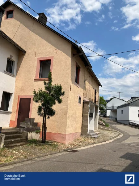 Seitenansicht - Haus kaufen in Trier - ++Zwangsversteigerung im Juni ++Gemütliches Einfamilienhaus nahe Trier