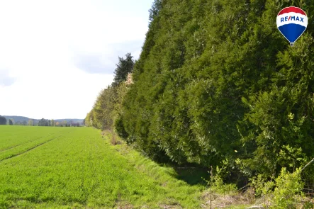 12 - Grundstück kaufen in Barntrup - Vielseitiges Grundstück mit  Entwicklungspotential, Ideal für Photovoltaik