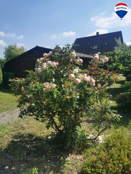 Grundstück mit Blockhaus