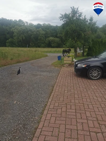 Ansicht nördlich zur Straße hin