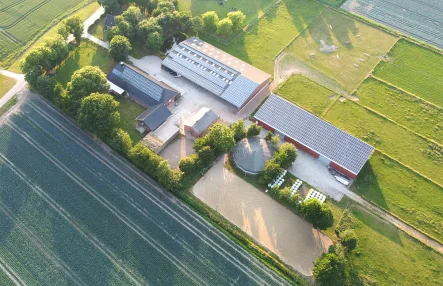 Objektansicht - Haus kaufen in Marnerdeich - Träume verwirklichen - Charmanter, stilvoller Pferdehof in ländlicher Lage!