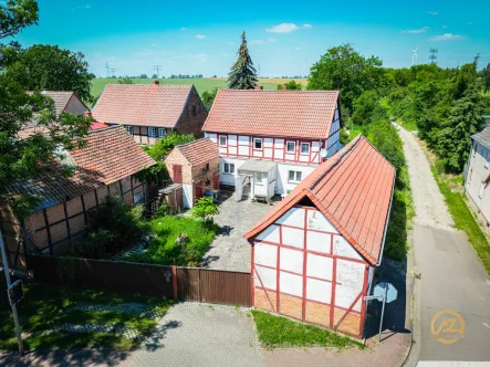 Aussenansicht - Haus kaufen in Wellen - "Wunderschönes denkmalgeschütztes Juwel auf großem Grundstück mit historischem Charme"