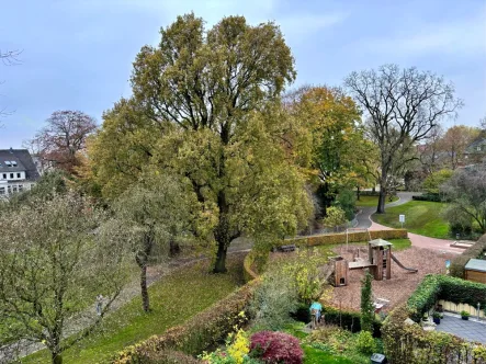 Ausblick - Wohnung kaufen in Coesfeld - Moderne Penthouse - Wohnung mit großzügiger Dachterrasse und Kamin