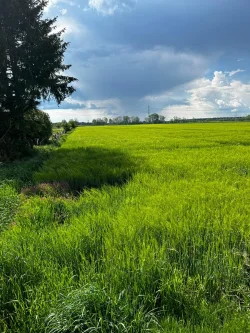 Acker im Lechfeld - Land- und Forstwirtschaft kaufen in Merching - Ackerland landwirtschaftliche Fläche im Lechfeld