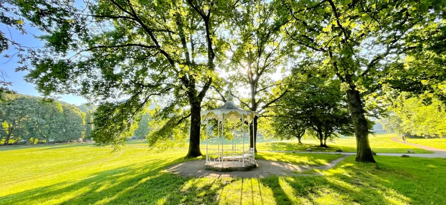 Klosterwiese - Wohnung mieten in Baden-Baden - Wohnung direkt an der Lichtentaler Allee