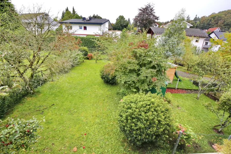 Blick in den Garten