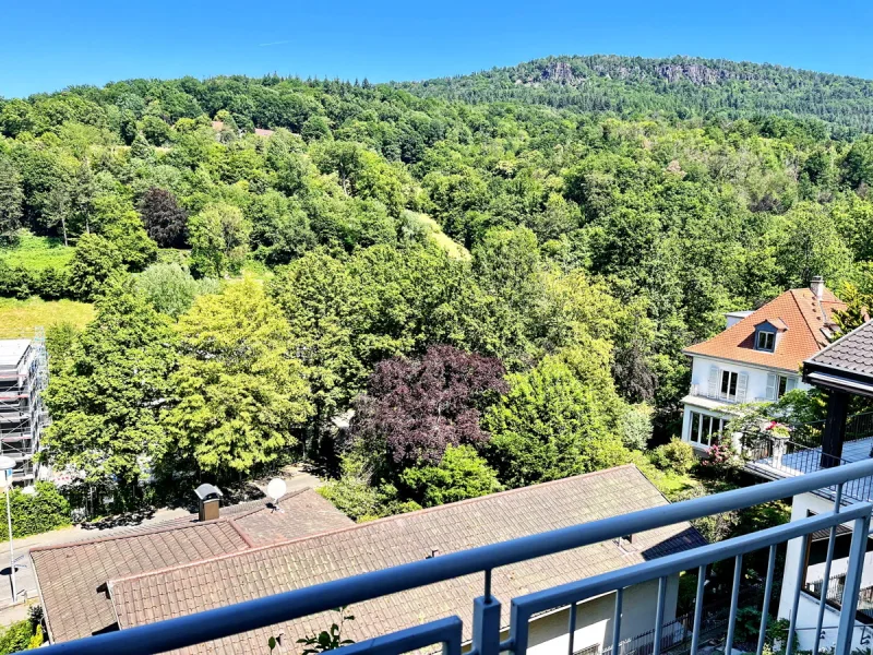 Ausblick vom Balkon auf Battertfelsen