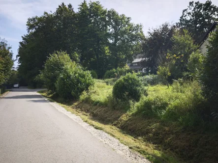  - Grundstück kaufen in Horn-Bad Meinberg / Holzhausen-Externsteine - Grundstück mit Fernblick in idyllischer Lage