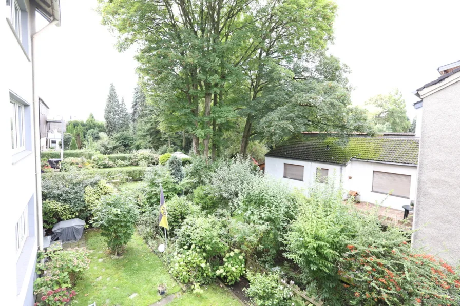 Blick in Garten